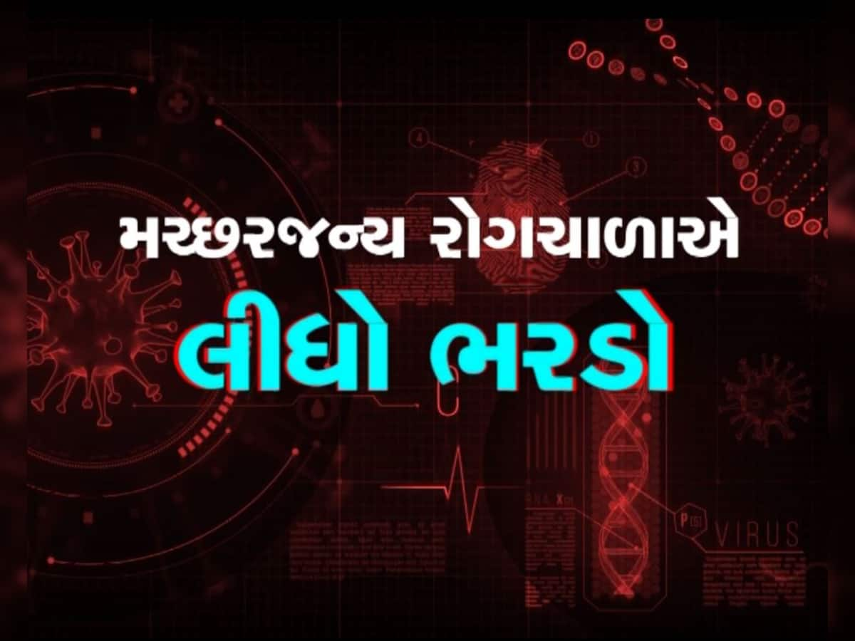  વરસાદ પછી વકર્યો રોગચાળો! સુરતમાં તાવમાં સપડાયા બાદ બે લોકોના મોત, આરોગ્ય વિભાગ આવ્યું એક્શનમાં