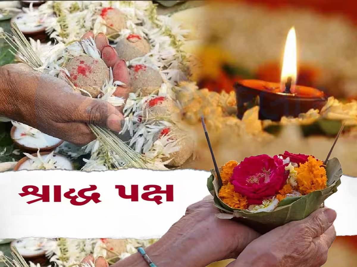 Pitru Paksha 2024: પિતૃપક્ષમાં ન કરવી જોઈએ ખરીદી, પરંતુ પિતૃઓ માટે આ 5 વસ્તુ ચોક્કસ ખરીદજો