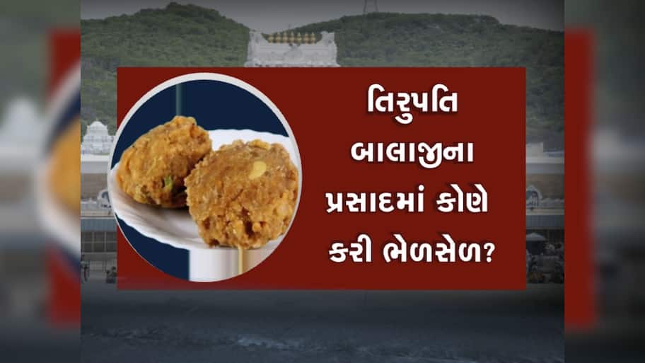 Tirupati Temple News: તિરુપતિના પ્રસાદમાં 'ચરબી'ની ભેળસેળ મામલે હવે કેન્દ્ર સરકાર એક્શન મોડમાં, નડ્ડાએ માંગ્યો રિપોર્ટ