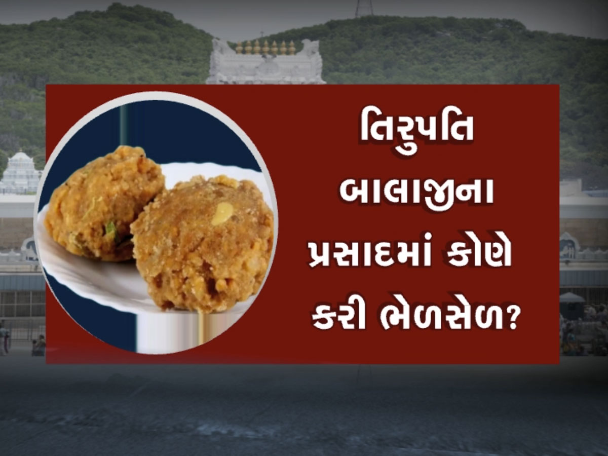 Tirupati Temple News: તિરુપતિના પ્રસાદમાં 'ચરબી'ની ભેળસેળ મામલે હવે કેન્દ્ર સરકાર એક્શન મોડમાં, નડ્ડાએ માંગ્યો રિપોર્ટ Tirupati Temple News: તિરુપતિના પ્રસાદમાં 'ચરબી'ની ભેળસેળ મામલે હવે કેન્દ્ર સરકાર એક્શન મોડમાં, નડ્ડાએ માંગ્યો રિપોર્ટ