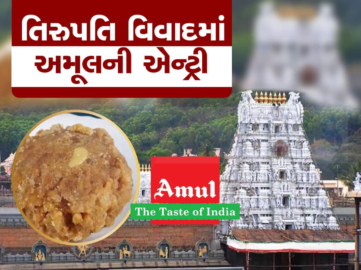 તિરુપતિ મંદિરના લાડુના વિવાદનો રેલો ગુજરાત પહોંચ્યો, અમૂલને કેમ કરવો પડ્યો ખુલાસો