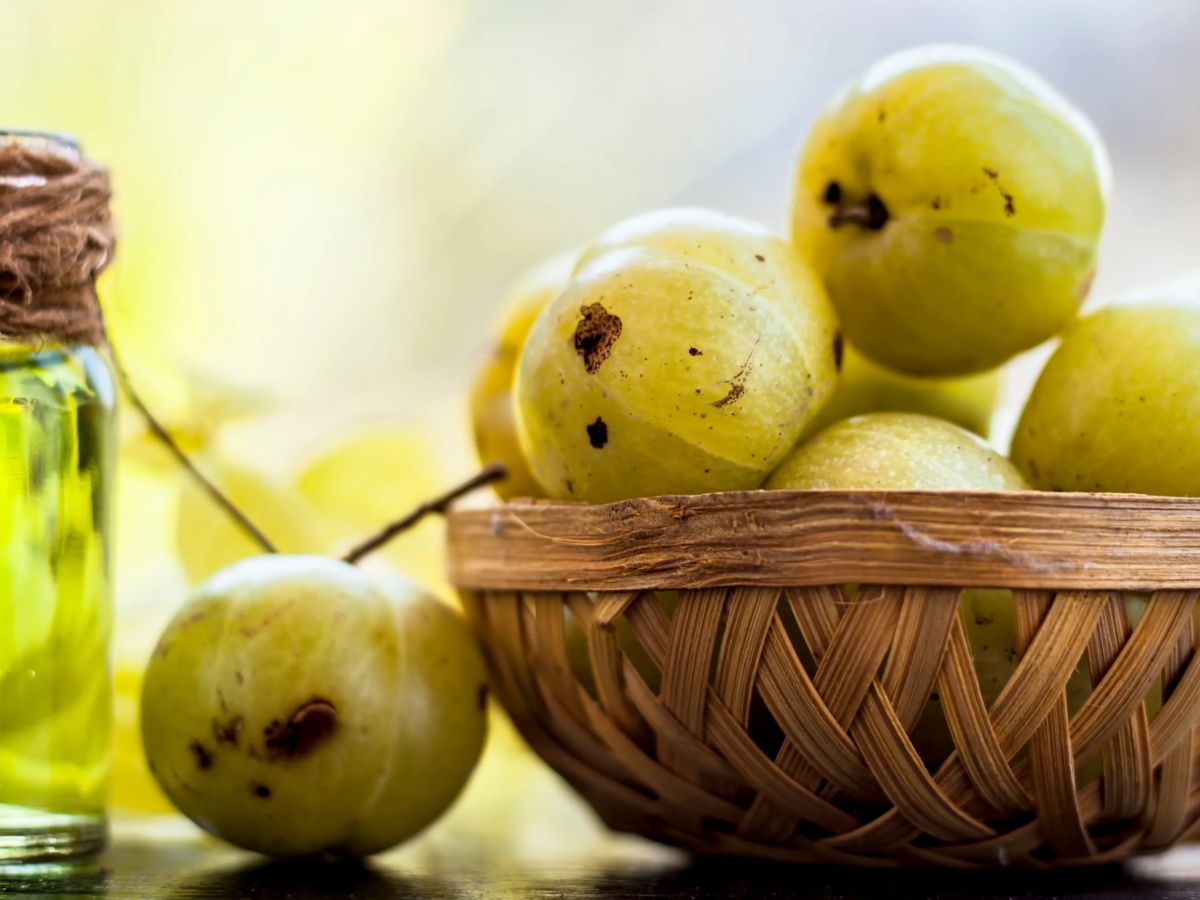 Amla Oil
