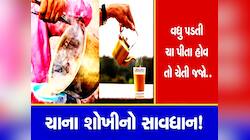 ચા અંગે ચોંકાવનારો રિપોર્ટ! તમારા 36 અંગોની પથારી ફેરવે છે ચા, થાય છે અનેક બીમારીઓ