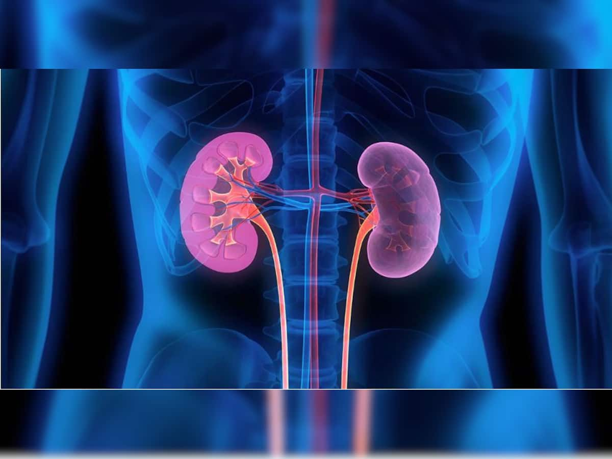 kidney health: આ 5 આદતોથી કિડની થઈ શકે છે ખરાબ, શું તમે પણ નથી કરી રહ્યાને આ ભૂલો?