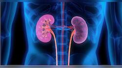 kidney health: આ 5 આદતોથી કિડની થઈ શકે છે ખરાબ, શું તમે પણ નથી કરી રહ્યાને આ ભૂલો?