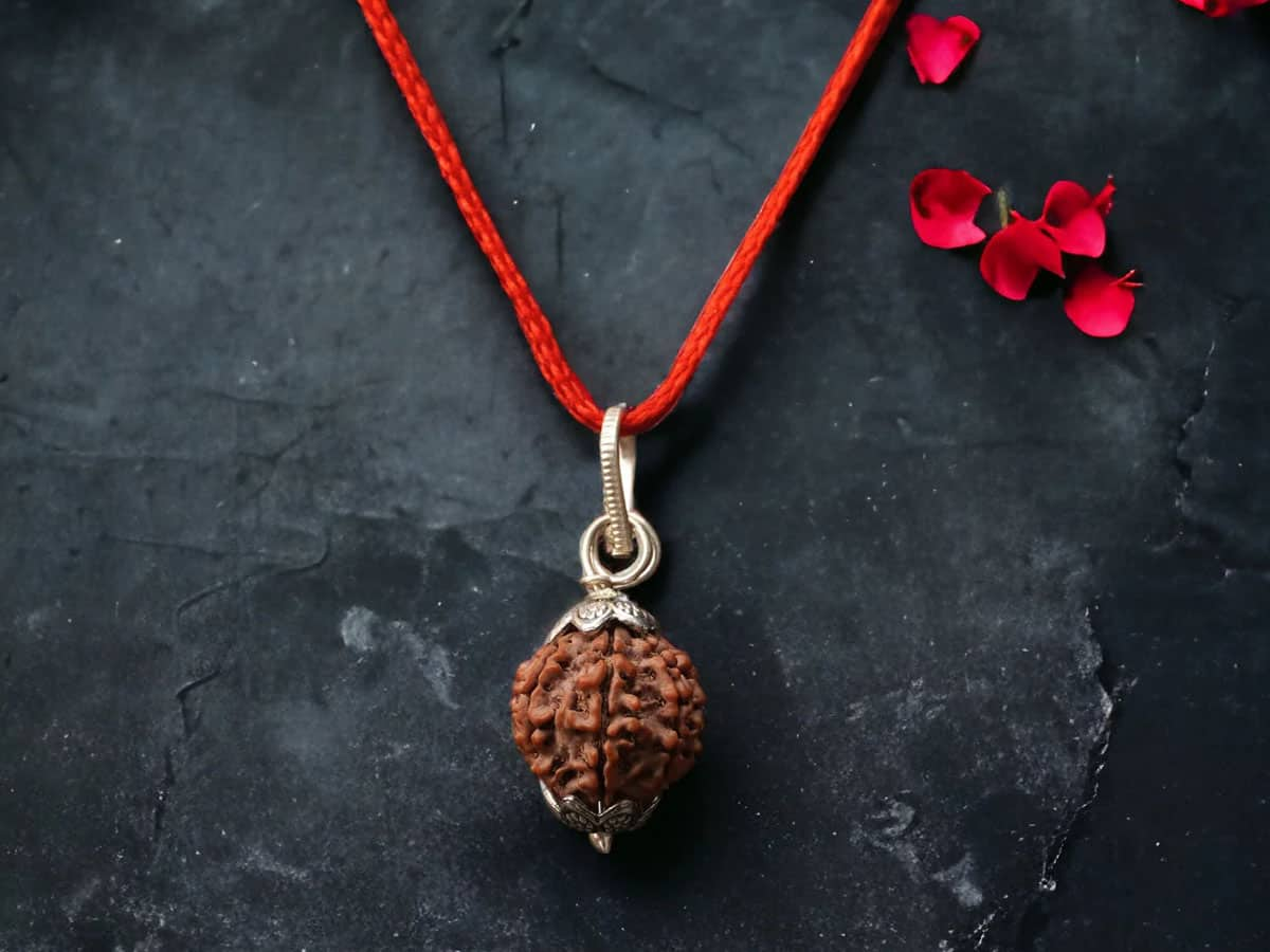 Rudraksha: આ વાતનું ધ્યાન રાખી શકો તો જ પહેરવો રુદ્રાક્ષ, નહીં તો ધનોતપનોત નીકળી જતા વાર નહીં લાગે