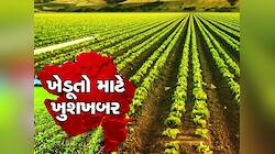 ખેડૂતો માટે ખુશખબર! મગફળી, અડદ અને સોયાબીન ખરીદશે સરકાર, જાણો ભાવ અને વિગતો