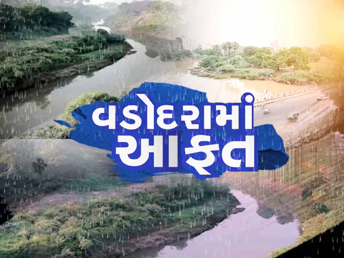 વડોદરામાં ફરી પૂર! 5 ઇંચ વરસાદમાં શહેર પાણી પાણી, 72 કલાક પછી પણ આ વિસ્તારોમાં ઉતર્યું નથી વડોદરામાં ફરી પૂર! 5 ઇંચ વરસાદમાં શહેર પાણી પાણી, 72 કલાક પછી પણ આ વિસ્તારોમાં ઉતર્યું નથી
