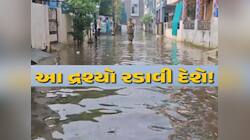 વડોદરાને વારંવાર ડૂબાડનારી 'સિસ્ટમ' કઈ? જાણો કોના પાપે ડૂબે છે આ શહેર?