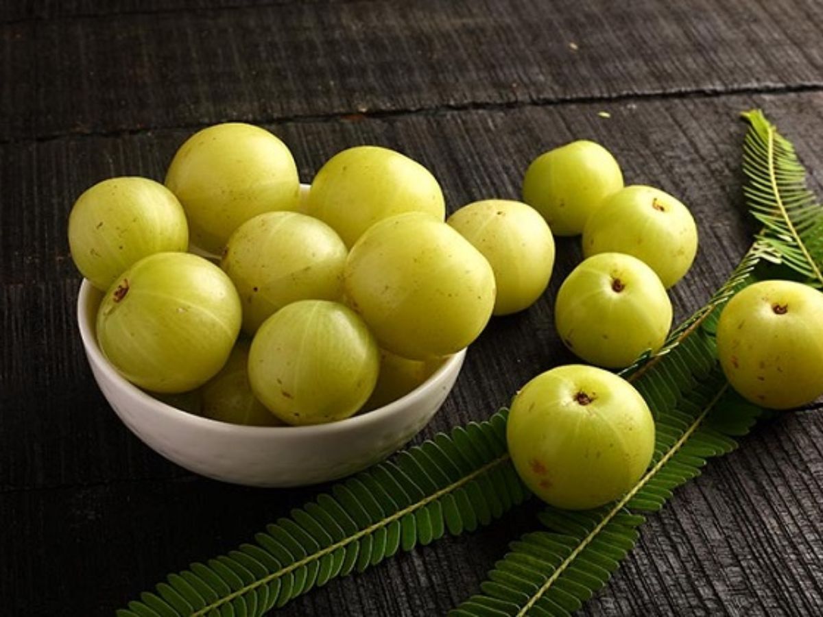 આમળા ખાવાના ફાયદા