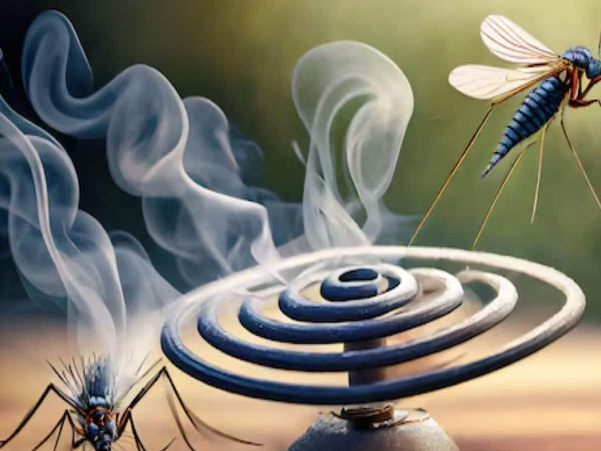 Mosquito Coil: જે આ વાત જાણે તે ઘરમાં ક્યારેય ન સળગાવે મચ્છરની અગરબત્તી, જીવતા રહેવું હોય તો તમે પણ જાણી લો