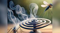 Mosquito Coil: જે આ વાત જાણે તે ઘરમાં ક્યારેય ન સળગાવે મચ્છરની અગરબત્તી, તમે પણ જાણો