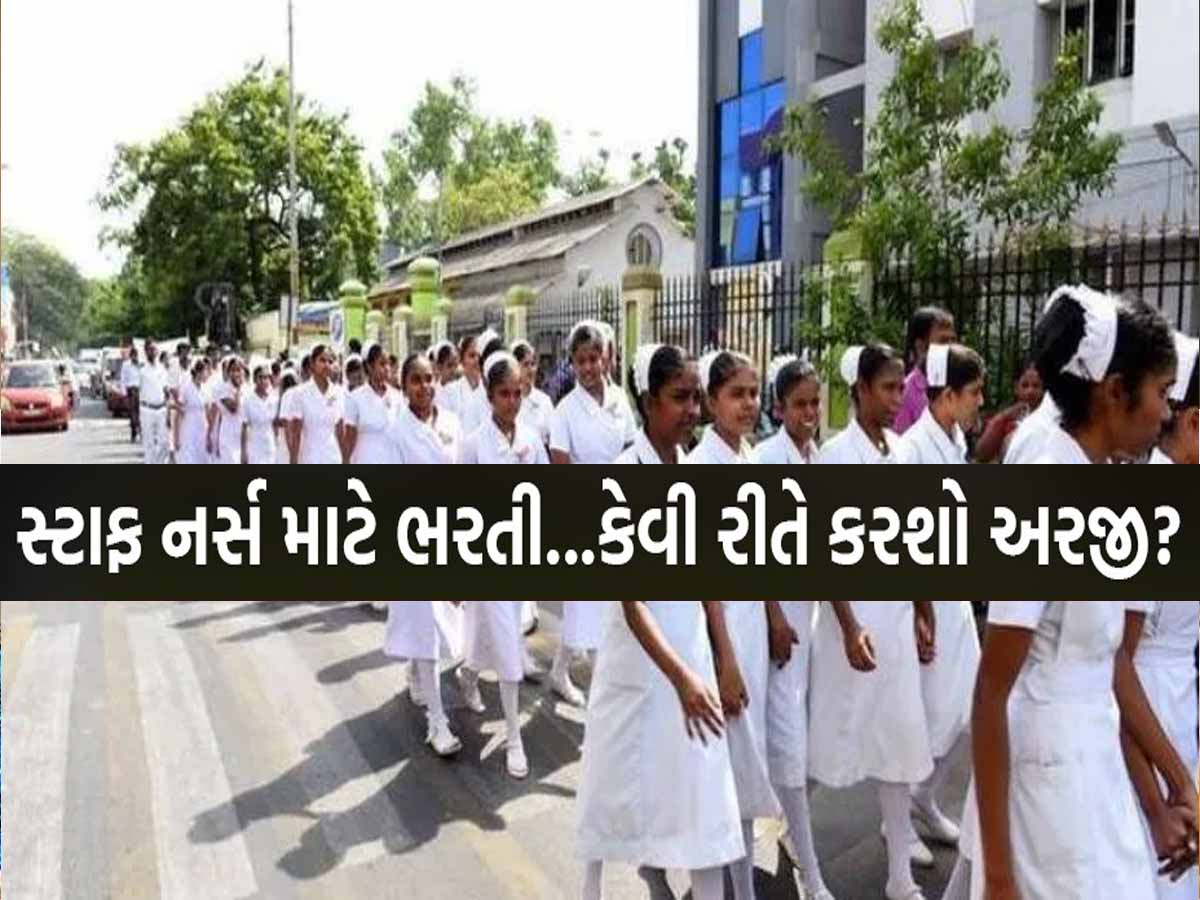 ગુજરાતમાં સ્ટાફ નર્સ બનવાનું સપનું જોતા હોવ તો ખુશખબર; 1903 જગ્યા પર બહાર પાડી ભરતી ગુજરાતમાં સ્ટાફ નર્સ બનવાનું સપનું જોતા હોવ તો ખુશખબર; 1903 જગ્યા પર બહાર પાડી ભરતી