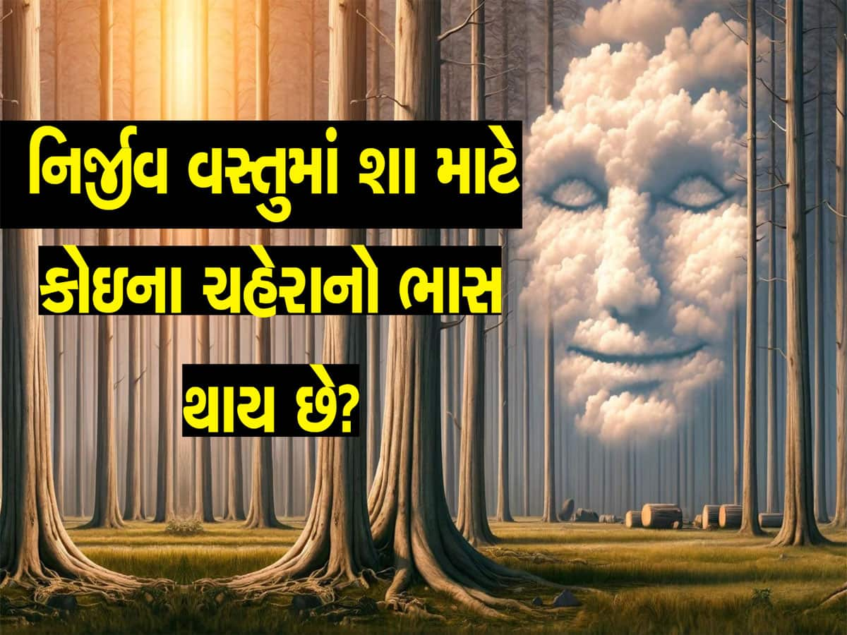 નિર્જીવ વસ્તુઓમાં શા માટે દેખાય છે માણસોનો ચહેરો? કુદરતની કમાલ નહિ મગજની કરામત છે!