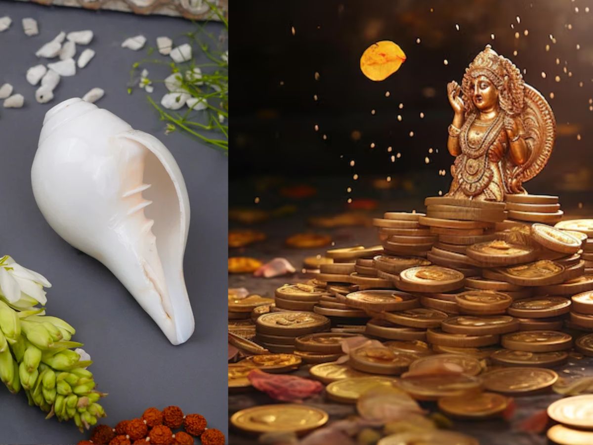 નસીબ તમારી તરફેણ કરે છે-