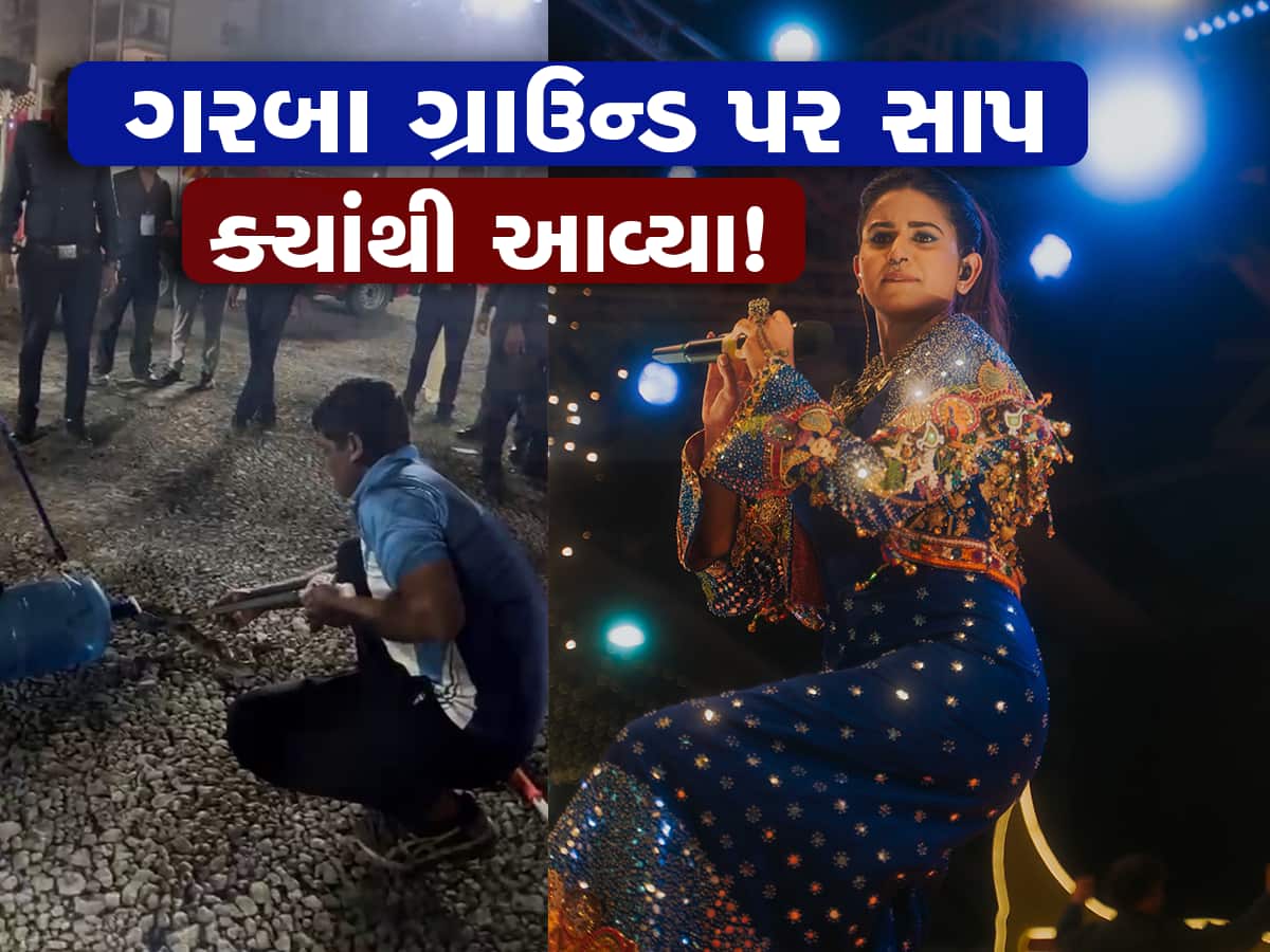 કિંજલ દવેના ગરબા ગ્રાઉન્ડ પરથી ઉપરાઉપરી નીકળ્યા 2 સાપ, સ્ટેજની આસપાસ ફરતા હતા  
