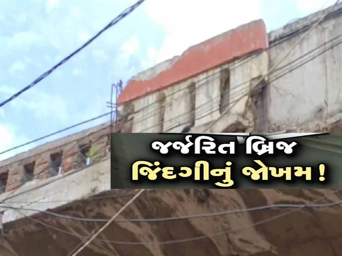 વડોદરાવાસીઓ સાચવી લેજો! મોરબી જેવી દુર્ઘટના થશે તો જવાબદાર કોઈ નથી, આ 12 બ્રિજ છે ક્ષતિગ્રસ્ત વડોદરાવાસીઓ સાચવી લેજો! મોરબી જેવી દુર્ઘટના થશે તો જવાબદાર કોઈ નથી, આ 12 બ્રિજ છે ક્ષતિગ્રસ્ત