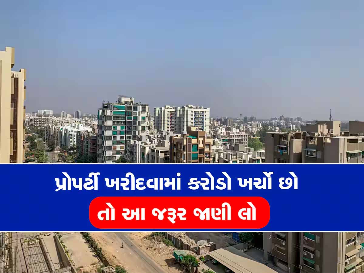 કરોડોનો ફ્લેટ લેતા પહેલા સાવધાન! ક્યાંક તમારુ મકાન તો આવું નથી'ને, જાણો રાજકોટનો કિસ્સો કરોડોનો ફ્લેટ લેતા પહેલા સાવધાન! ક્યાંક તમારુ મકાન તો આવું નથી'ને, જાણો રાજકોટનો કિસ્સો