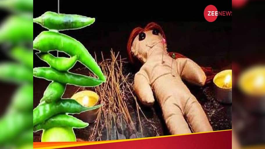 મેલીવિદ્યાની પ્રેક્ટિસ કરવા માંગતી હતી દીકરી, ઘરમાં માતાના ટુકડે ટુકડા કર્યા અને પછી...