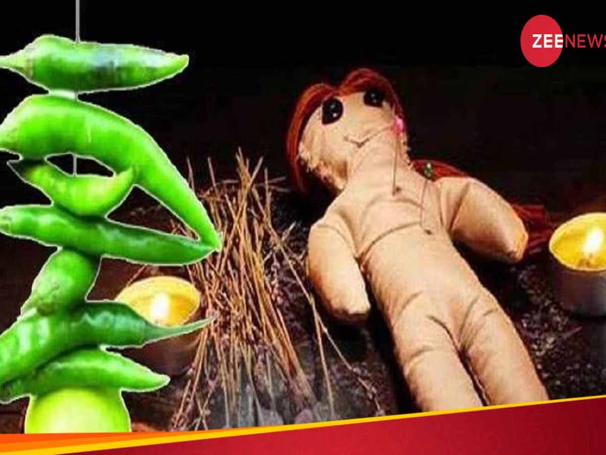 મેલીવિદ્યાની પ્રેક્ટિસ કરવા માંગતી હતી દીકરી, ઘરમાં માતાના ટુકડે ટુકડા કર્યા અને પછી... મેલીવિદ્યાની પ્રેક્ટિસ કરવા માંગતી હતી દીકરી, ઘરમાં માતાના ટુકડે ટુકડા કર્યા અને પછી...