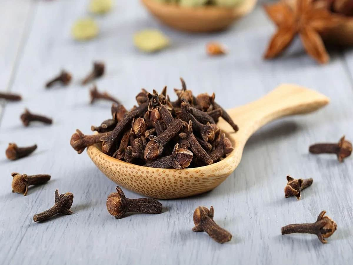 Clove: આ વસ્તુ સાથે લવિંગ લેવાથી થાય છે જોરદાર ફાયદો, દવા વિના મટવા લાગશે બીમારીઓ