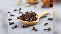Clove: આ વસ્તુ સાથે લવિંગ લેવાથી થાય છે જોરદાર ફાયદો, દવા વિના મટવા લાગશે બીમારીઓ