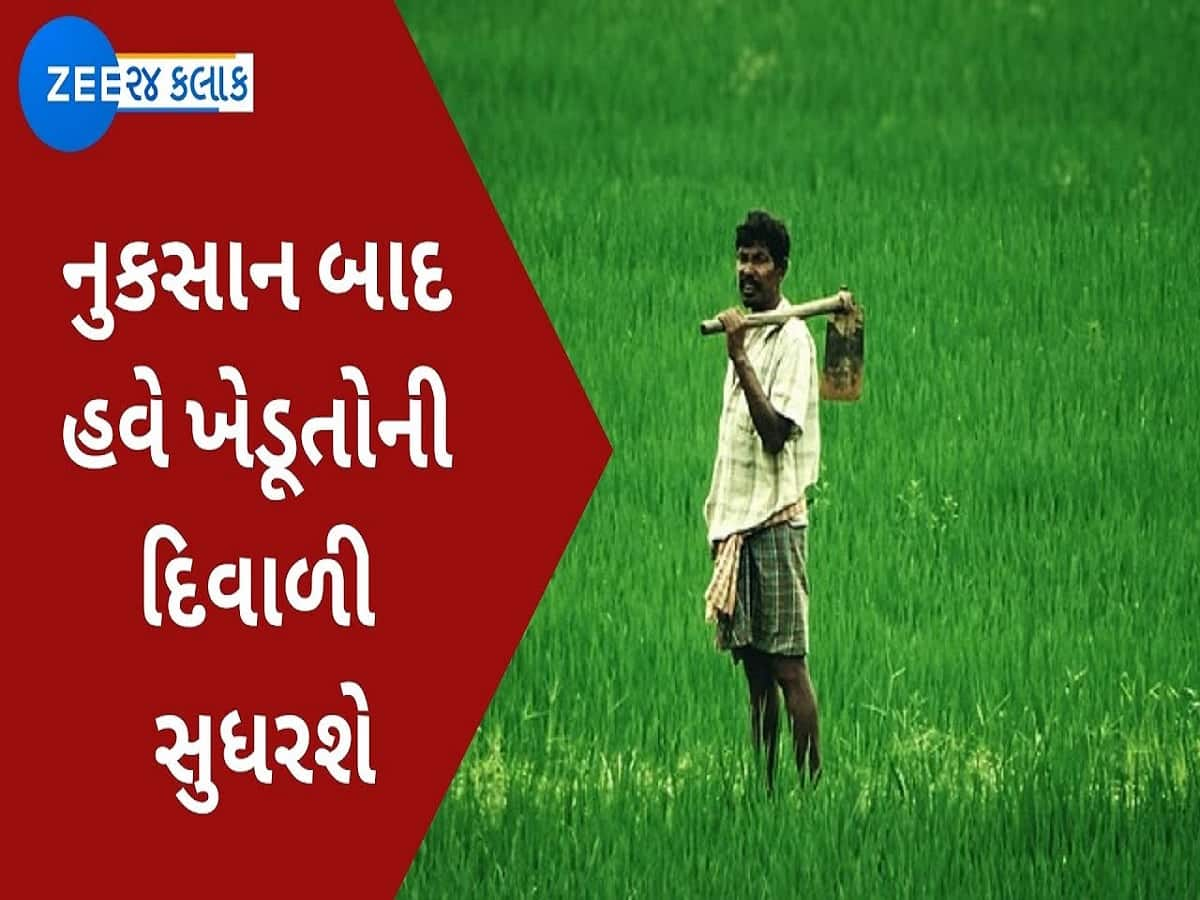 ખેડૂતો માટે 1 હજાર કરોડનું રાહત પેકેજ જાહેર કરી શકે છે સરકાર, ભારે વરસાદને કારણે પાકને થયું હતું નુકસાન