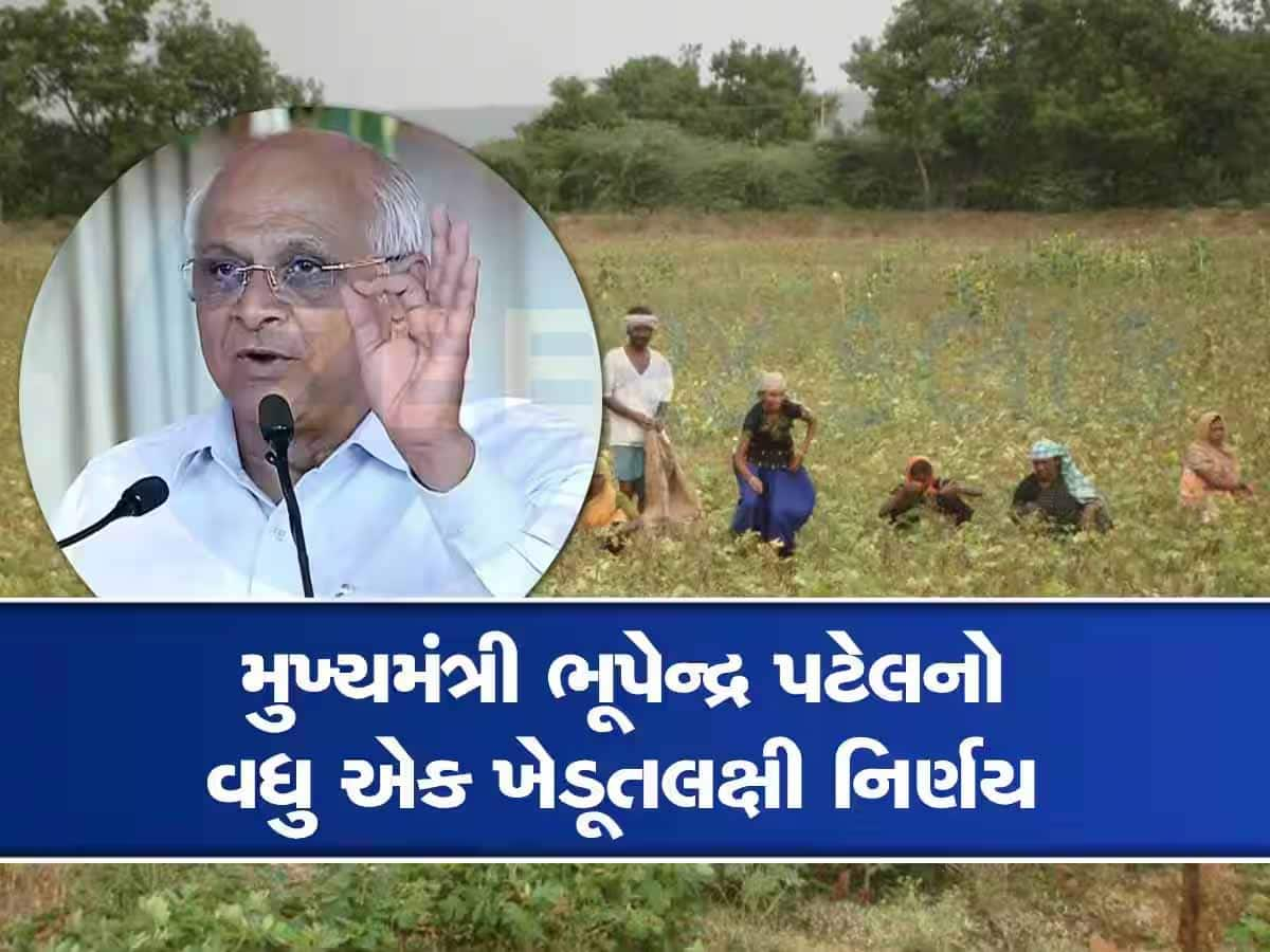 ખેડૂતો તૈયાર રહેજો! લાભ પાંચમથી સરકાર કરશે આ પાકોની ટેકાના ભાવે ખરીદી, બોનસ પણ આપશે!