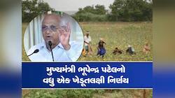 ખેડૂતો તૈયાર રહેજો! લાભ પાંચમથી સરકાર કરશે આ પાકોની ટેકાના ભાવે ખરીદી, બોનસ પણ આપશે!