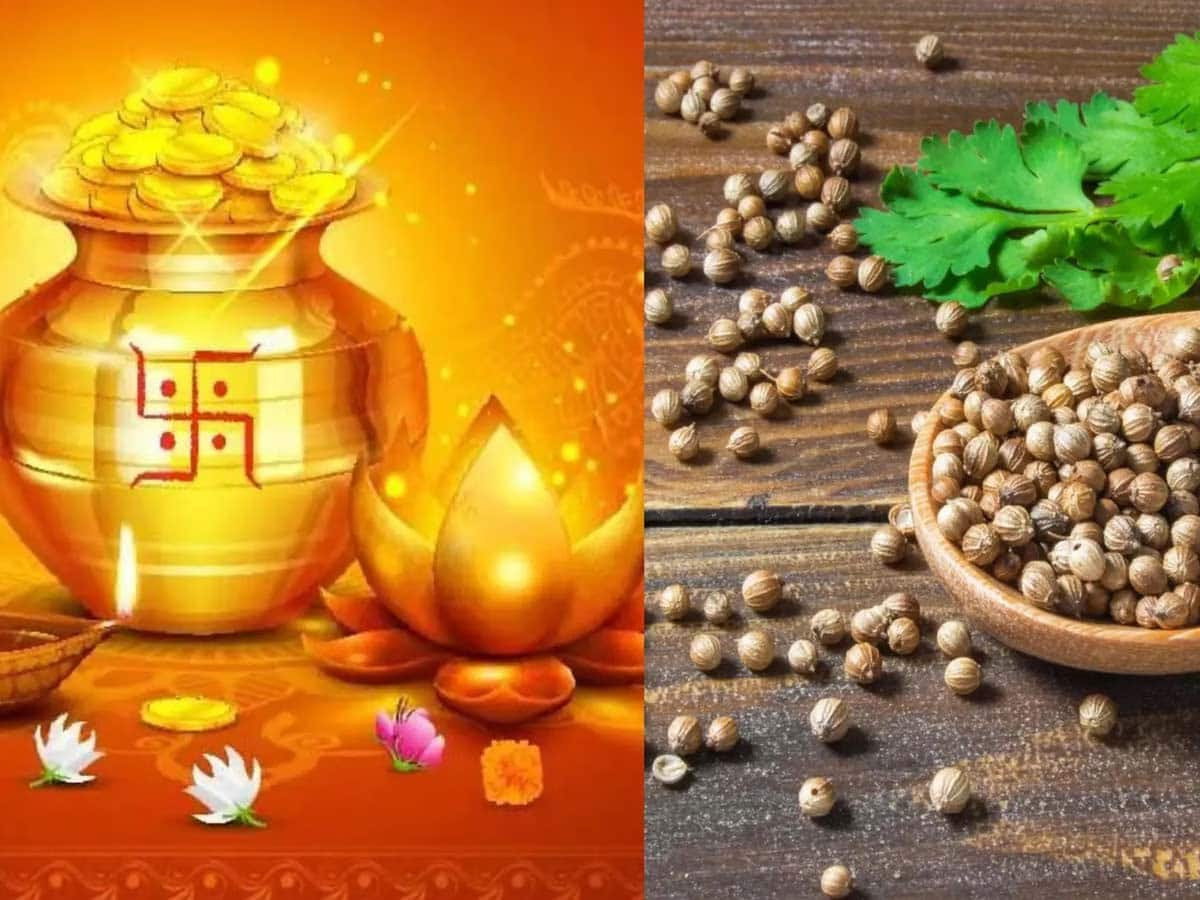 Dhanteras 2024: ધનતેરસ પર ધાણા શા માટે ખરીદે છે લોકો ? આ ઉપાય રાતોરાત કોઈપણ વ્યક્તિને માલામાલ બનાવી શકે છે 