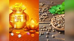 ધનતેરસ પર ધાણા શા માટે ખરીદે છે લોકો ? આ ઉપાય રાતોરાત વ્યક્તિને માલામાલ બનાવી શકે છે