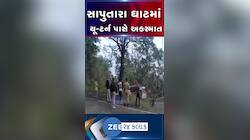 ડાંગના સાપુતારા માર્ગ પર ઉભેલા ડમ્પર પાછળ અથડાયું કન્ટેનર, અકસ્માતને પગલે લાંબો ટ્રાફિક જામ......