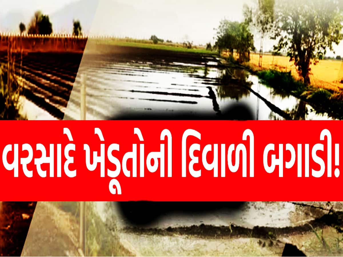 પાછોતરા વરસાદે જગતના તાતની દશા બેસાડી, સૌરાષ્ટ્ર સહિતના ભાગોમાં ખેડૂતોને ભારે નુકસાની