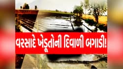 પાછોતરા વરસાદે જગતના તાતની દશા બેસાડી, સૌરાષ્ટ્ર સહિતના ભાગોમાં ખેડૂતોને ભારે નુકસાન