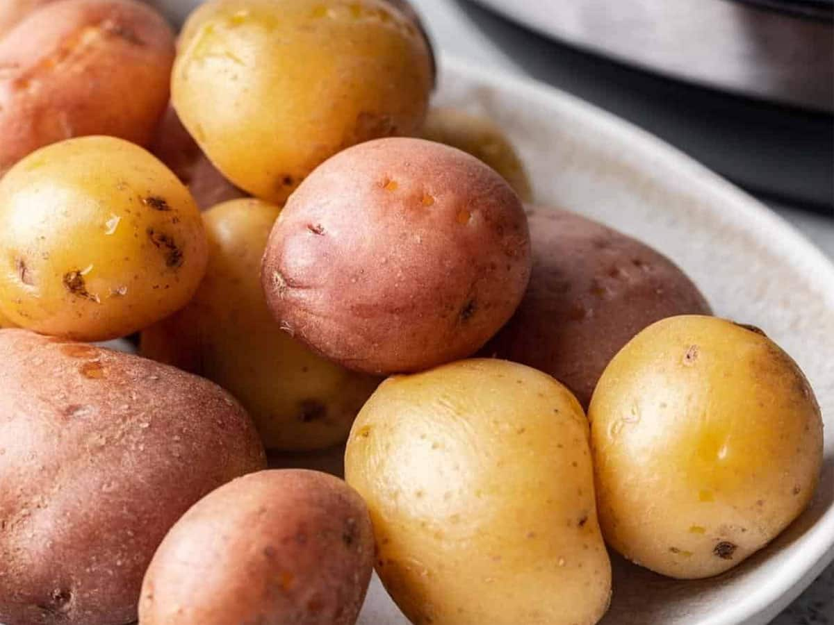 Potatoes: ફ્રિજમાં સ્ટોર કરેલા બાફેલા બટેટા ખાવાથી વધે છે આ જીવલેણ બીમારી થવાનું જોખમ