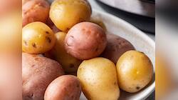 Potato: ફ્રિજમાં સ્ટોર કરેલા બાફેલા બટેટા ખાવાથી વધે છે આ જીવલેણ બીમારી થવાનું જોખમ
