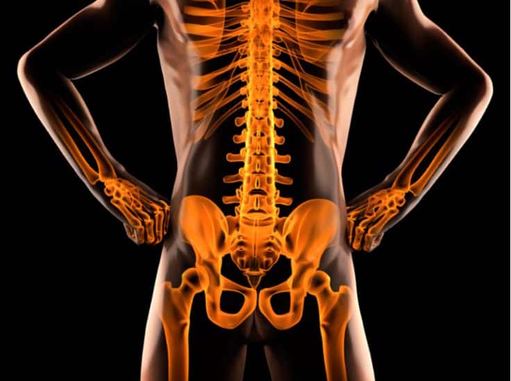 Healthy Bones: 50 ની ઉંમર પછી પણ નહીં થાય હાડકાં કમજોર, આજથી જ ખાવાના ...