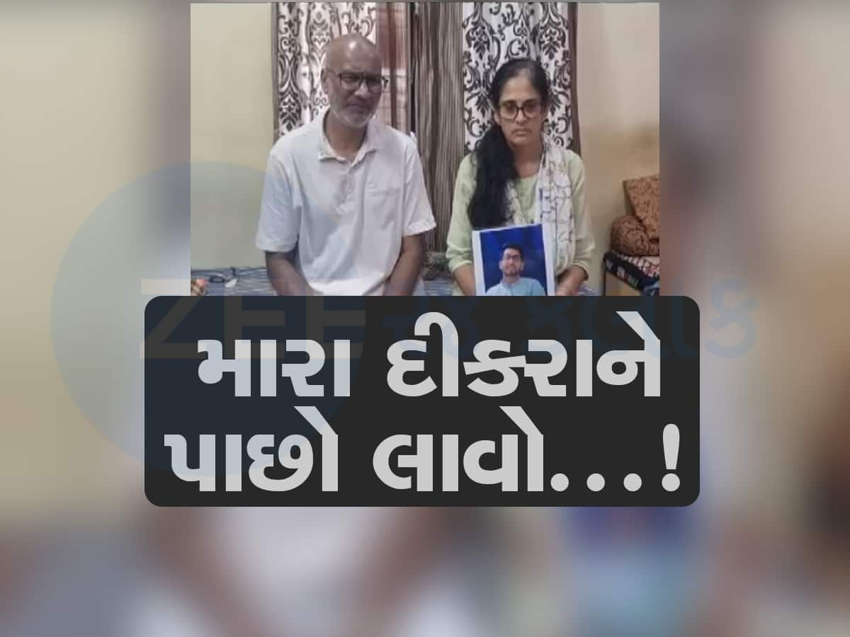 ગુજરાતી યુવકની અમેરિકામાં ધરપકડ, નોકરીની લાલચમાં જેલમાં જવું પડ્યું 