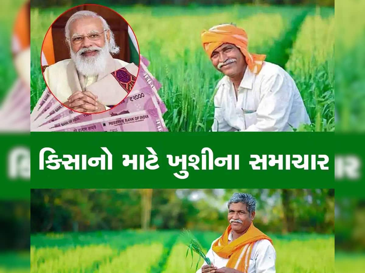 જો તમે 25 નવેમ્બર પહેલા આ કામ ના કર્યું તો PM કિસાન યોજનાનો લાભ નહીં મળે, જાણો શું છે પ્રક્રિયા?