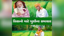 જો તમે 25 નવેમ્બર પહેલા આ કામ ના કર્યું તો PM કિસાન યોજનાનો લાભ નહીં મળે, જાણો શું..