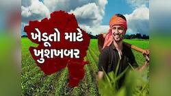 ખેડૂતો માટે ખુશખબર! દિવાળી ટાણે ગુજરાત સરકારની મોટી જાહેરાત, દરેક ખેડૂતને મળશે લાભ