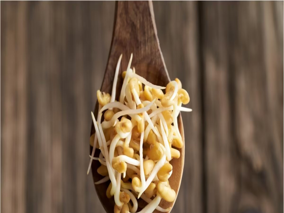 Sprouted Fenugreek: રોજ સવારે ખાઈ લો 1 ચમચી ફણગાવેલી મેથી, શરીરમાં નહીં રહે એક પણ રોગ