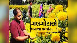 ગુજરાતના આ જિલ્લાના ખેડૂતો ફૂલોની ખેતીથી કરે છે લાખોની કમાણી! જાણો ટિપ્સ