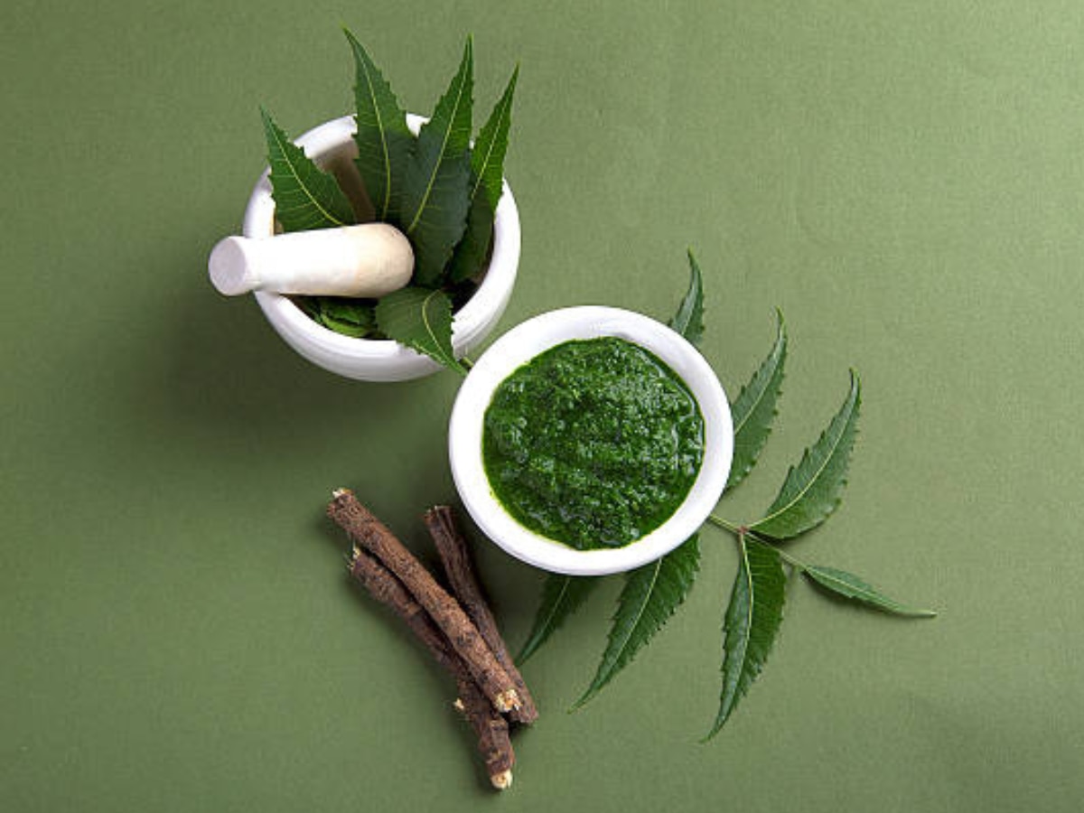 Neem Benefits શિયાળામાં કરો આ લીલી જડીબૂટીનો ઉપયોગ, ના વાળમાં