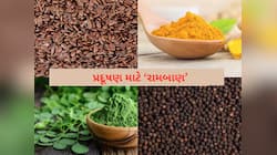 પ્રદૂષણથી છો પરેશાન? આ 10 સૂપર ફૂડ ખાશો તો હંમેશા રહેશો ચૂસ્ત અને તંદુરસ્ત