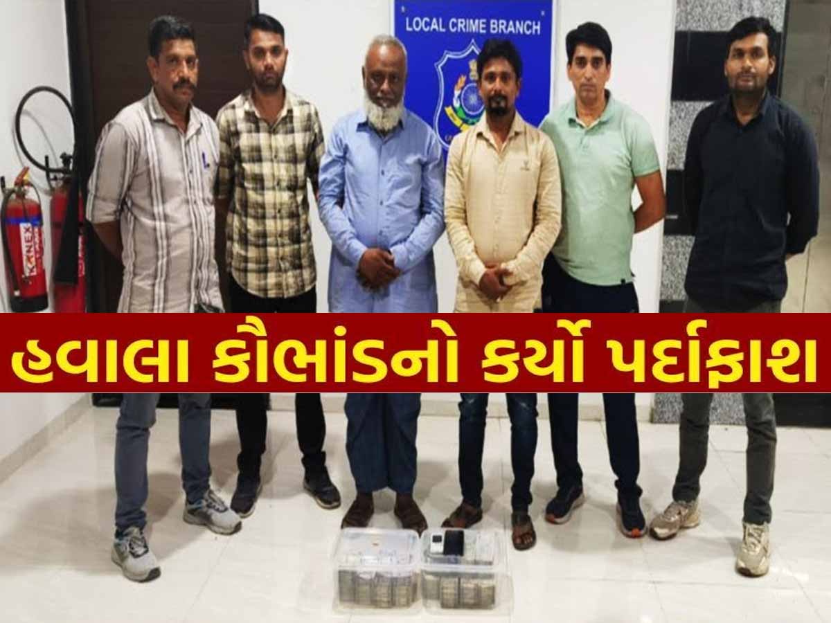 ભરૂચમાં હવાલાનું ભૂત ફરી ધૂણ્યું! લાખોની રોકડ સાથે ક્રાઇમ બ્રાન્ચે હવાલા કૌભાંડનો કર્યો પર્દાફાશ