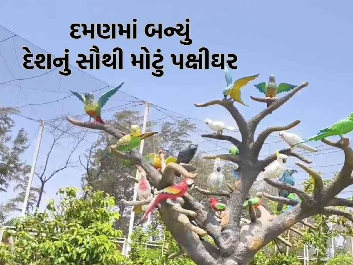 એક એવું અનોખું પક્ષીઘર જ્યાં પર્યટકોની લાગે છે લાઈનો! 10 કરોડથી વધુના ખર્ચે 3 એકરમાં છે પથરાયેલું!