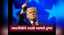 Donald Trump રાષ્ટ્રપતિ બનતાં હવે ભારતીયો ભરાશે, અમેરિકા જવાનું ભૂલી જાઓ