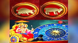 'નિષ્ઠુર' ન્યાયાધીશ શનિ કુંભ રાશિમાં થશે માર્ગી, આ 5 રાશિવાળા પર થશે પૈસાનો વરસાદ