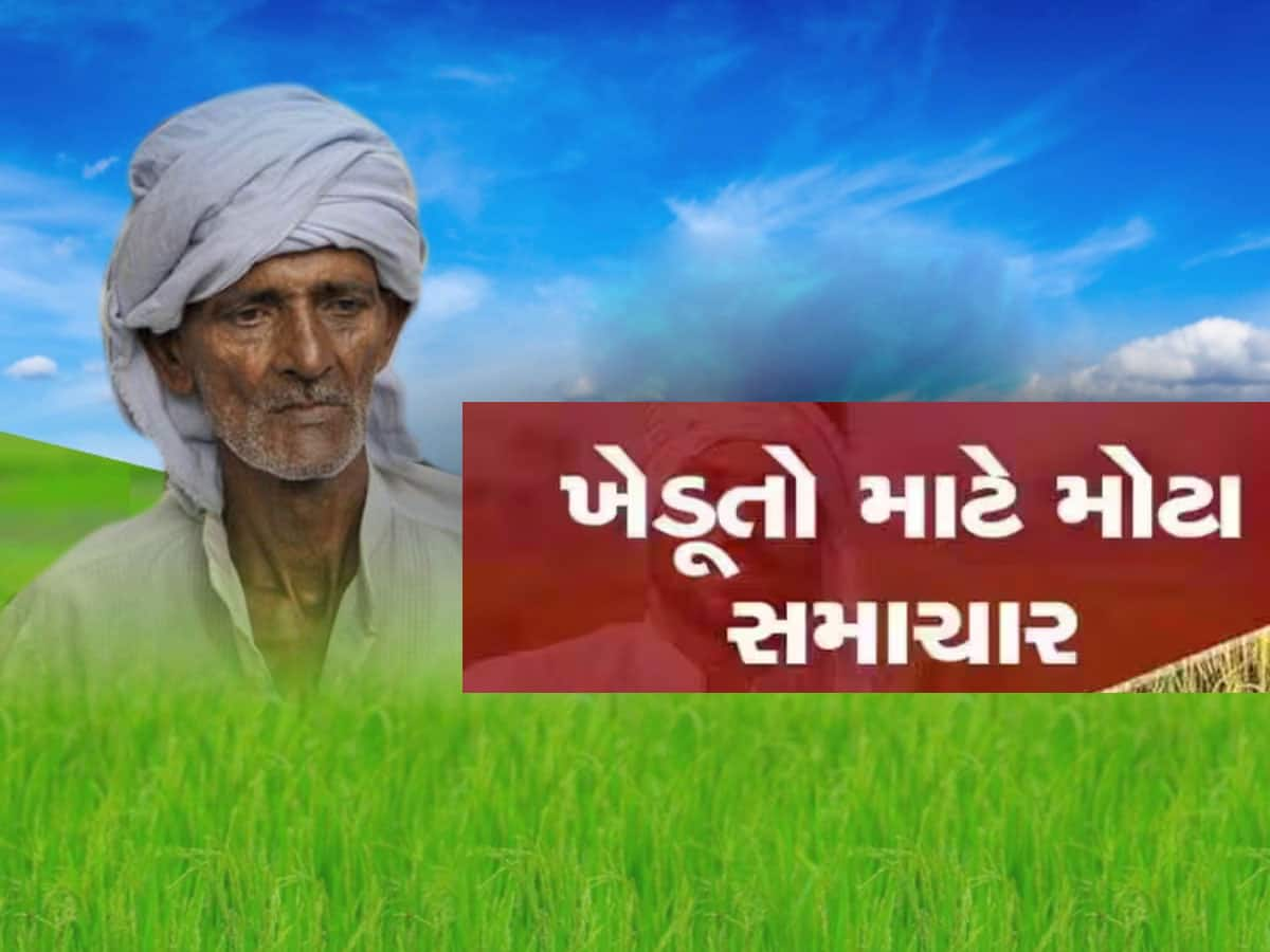 આ દિવસથી ગુજરાતમાં ટેકાના ભાવે મગફળીની ખરીદી થશે, સરકારે આપી તારીખ